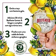 gengibre-citrica-beefeater-refrescancia-limao-750ml-botanics