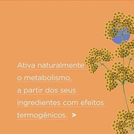 gengibre-erva-boa-iamani-organico-funcho-cha-doce-digestao