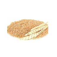Gérmen de Trigo - Granel 100g (4) - imagem 2