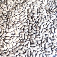 Girassol - semente sem casca torrada, sem sal (pepita) - consumo humano - 250g | Kippys Natural - imagem 1