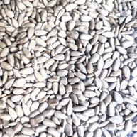 Girassol - semente sem casca torrada, sem sal (pepita) - consumo humano - 250g | Kippys Natural - imagem 2