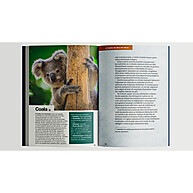 Animais do Mundo: Descubra a Fauna Global - imagem 2