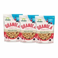 Kit 3X: Granola Cranberry e Goji Zero Açúcar Sem Glúten Vitalin 200g - imagem 2