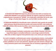 Molho De Pimenta Carolina Reaper Original Sem Glúten 15 Ml - imagem 4