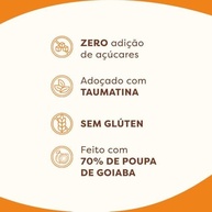 Goiabada Cremosa FLORMEL Zero Açúcar - 210 Gramas - imagem 3