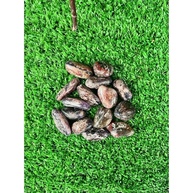 Pedra Rolada Polida Granada Vermelha - Pacote 200g para Decoração e Cura Energética - imagem 3