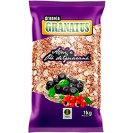 Natu's, Granola com Açaí & Pó de Guaraná, Power, Granatus, 1 Kilo - imagem 1