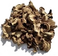 Funghi Seco (Cogumelo) - Granel 100g (11) - imagem 1