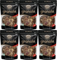 Kit 6 Granola Premium Ws Naturais 500g - imagem 1