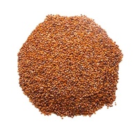 Quinoa Vermelha em Grão 500g - imagem 4