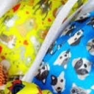 Gravatas Pet: 10 Unidades Estilosas para Banho e Tosa - imagem 1