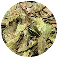Graviola Folha 500Gr - imagem 1