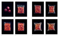 guia-misos-noma-domine-shoyus-koji-fermentacao-e-kombuchas-de-a-mais-a