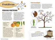 guia-transforme-e-com-a-de-seu-jardinagem-aprenda-jardim-giacon-pratico-edilson-a