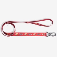 Guia ZC Pets A Dama e o Vagabundo: Passeios Incríveis! - imagem 1