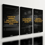 Kit 3 Quadros Decorativos Academia Motivacional para Quarto e Home Gym - Design Inspirador 40x28cm - imagem 1