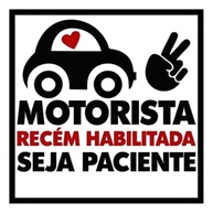 Adesivo Recém Habilitada Carro: Vinil Premium à Prova D'Água | Celebre sua Conquista! - imagem 2