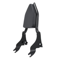 Sissy Bar Encosto Destacável para Passageiro Harley Touring 2009-2024 - Conforto e Estilo Premium (Preto) - imagem 5