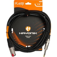 Cabo Extensor HAYONIK P10 Macho para P10 Fêmea - Qualidade Profissional 5M - imagem 1