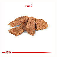 Royal Canin Hepatic 420g: Nutrição Especial para Cães com Problemas Hepáticos - imagem 2