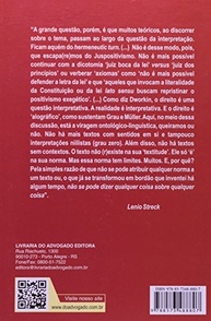 Hermenêutica Jurídica em Crise: Desvendando a Construção do Direito no Brasil - imagem 3