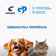 Pet Smack Dia a Dia Shampoo 500ml – Elimina Odores e Hidrata - imagem 2