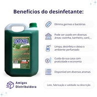 Desinfetante Bactericida Herbal 5L Limpinha - Elimina Maus Odores e Garante Higiene Total - imagem 3