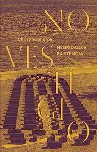 historia-a-a-na-e-vestigio-negritude-desvendando-no-a-existencia-a