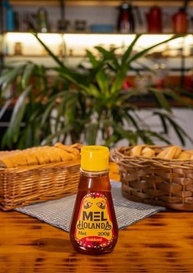 Baldoni Mel Holanda - imagem 2
