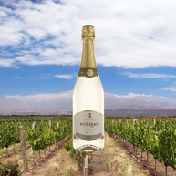holiday-750ml-branco-espanhol-espumante-brut