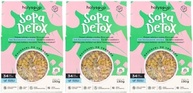 Kit 3X: Sopa Detox Sem Glúten Holysoup 130g - imagem 1