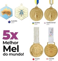 Mel com Maracujá Gold Medal Honey | Sem Açúcares ou Aditivos | 100% Natural | Perfeito para Lanches e Sobremesas | Somente 2 Ingredientes | Sabor Incrível e Saudável | 250g - imagem 3