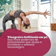Vinagreira liofilizada em pó Horta da Terra 25g - imagem 2