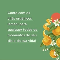 Chá Orgânico Iamaní Super Imune Cúrcuma Hortelã Gengib 15sac - imagem 2