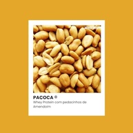 Housewhey Vegan Protein, Sabor Paçoca, 450g - imagem 3