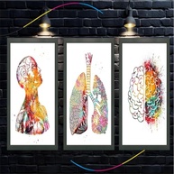 Quadro Decorativo Anatomia Humana - Moldura Elegante para Consultórios e Ambientes Médicos - imagem 5
