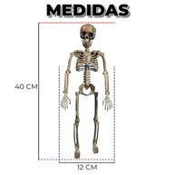 Caveira de Halloween Mini Esqueleto Humano Articulado Ultra Realista 3D - Decoração Assustadora para Casa, Quintal e Jardim - imagem 4