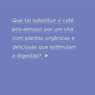 iamani-cha-boa-gengibre-doce-funcho-erva-digestao-organico