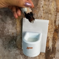Essências Aromatizadoras: Crie Seu Ambiente Ideal! - imagem 2