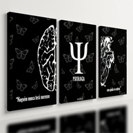 Kit 3 Quadros Decorativos Psicologia Cérebro Mente - Ideal para Consultórios e Ambientes Terapêuticos - imagem 1
