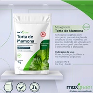 Torta de Mamona: O Adubo Orgânico Ideal - imagem 2