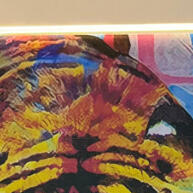 ideias-suas-ilumine-decorativa-led-luminaria