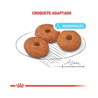 Royal Canin Mini Indoor Sênior: Nutrição para Cães Idosos - imagem 2