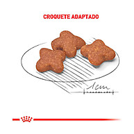 Royal Canin Mini Adult 8+: Nutrição Premium para Cães Idosos - imagem 2