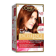 Imédia Excellence L'Oréal: Marrom 6.41 Perfeito! - imagem 1