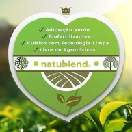 importado-100g-hibisco-do-de-egito-cha