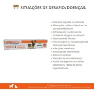 Florafarm Pet 4 Em 1: Saúde Intestinal e Imunidade - imagem 2