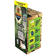 Dino Explorers: Escave e Revele Fósseis Incríveis! - imagem 2