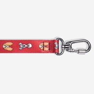 Guia ZC Pets A Dama e o Vagabundo: Passeios Incríveis! - imagem 2