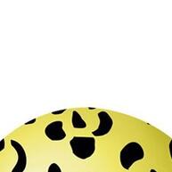 Balões Safari Nº9: Festa Animal Incrível! - imagem 2